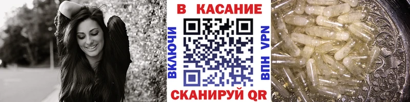 Где продают наркотики Тосно Псилоцибиновые грибы  Alpha PVP  Меф мяу мяу  Cocaine  Бошки Шишки 