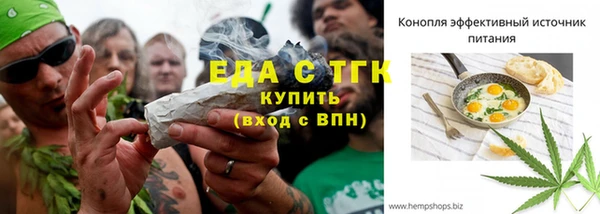 spice Богородск