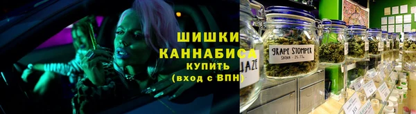 spice Богородск