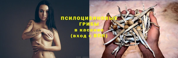 spice Богородск