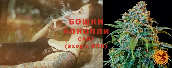 крисы Богданович